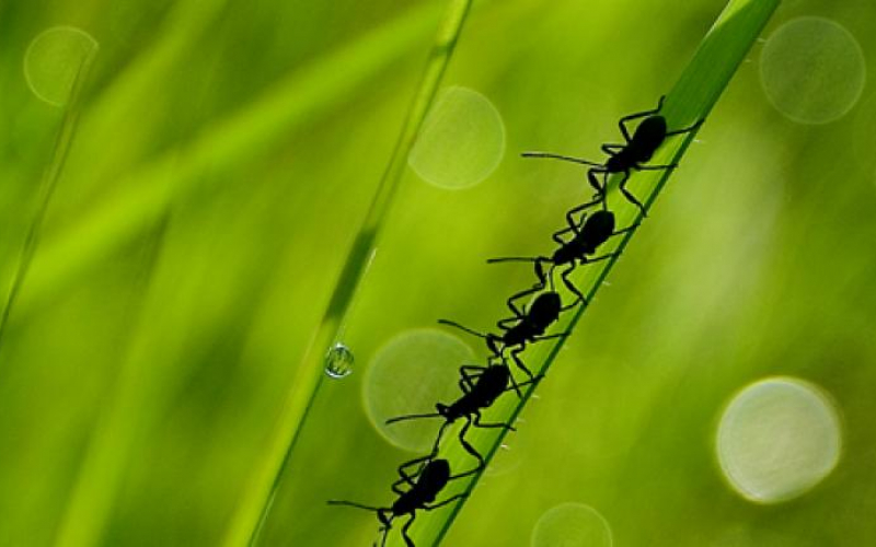At blandit duis immitto lucidus ludus macto mos saluto torqueo.